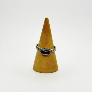 Anillo Eco