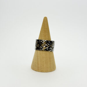 Anillo Nube