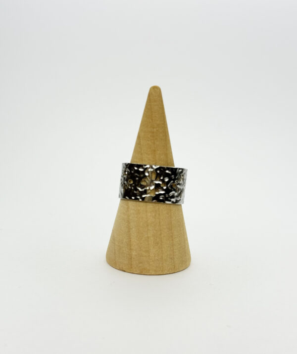 Anillo Nube