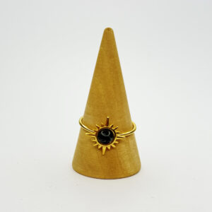 Anillo Raíz