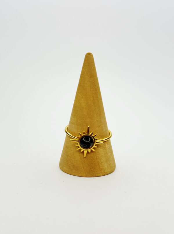 Anillo Raíz