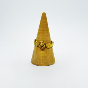 Anillo Vega