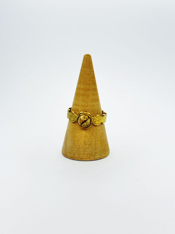 Anillo Vega